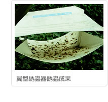 翼型誘蟲器誘蟲成果